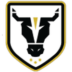 Bulls Academy